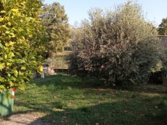 Bellissimo Rustico con terreno a pochi km da Lucca - 7