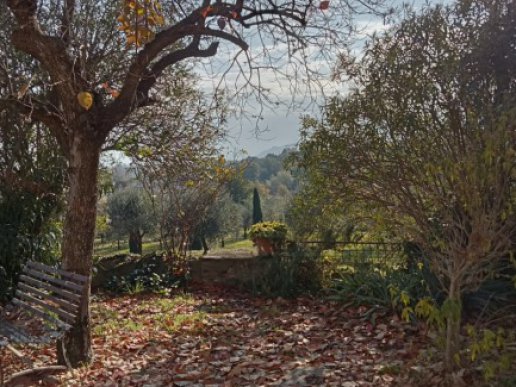 Beautiful Rustico with land a few km from Lucca - 8