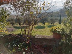 Beautiful Rustico with land a few km from Lucca - 10