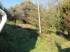 Bellissimo Rustico con terreno a pochi km da Lucca - 12